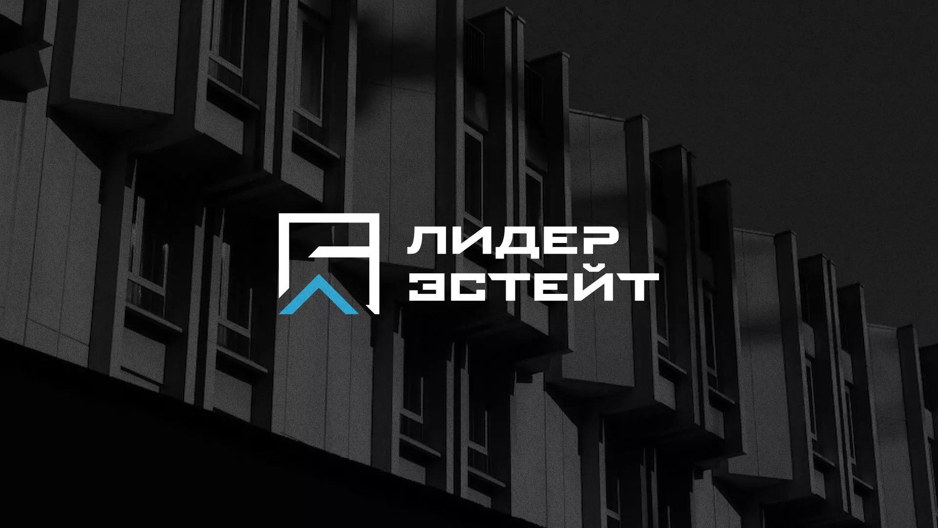 Разработка логотипа агентства недвижимости «Лидер Эстейт» в Ликино-Дулево
